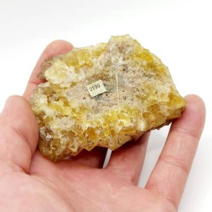 Fluorite jaune, Gersdorf, Mittelsachsen, Saxe, Allemagne.