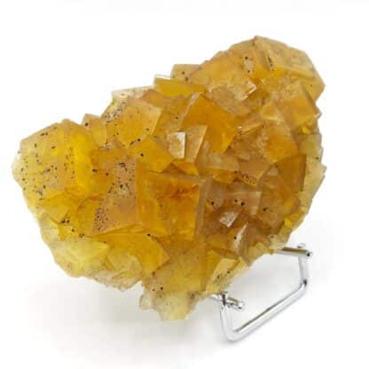 Fluorite jaune, Gersdorf, Mittelsachsen, Saxe, Allemagne.