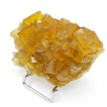 Fluorite jaune, Gersdorf, Mittelsachsen, Saxe, Allemagne.