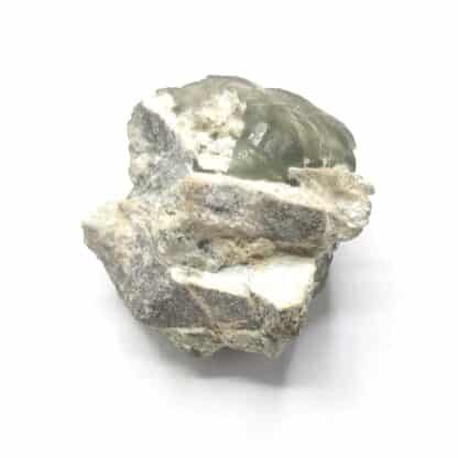 Prehnite, Combe de la Selle, Oisans, Isère.