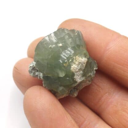 Prehnite, Combe de la Selle, Oisans, Isère.