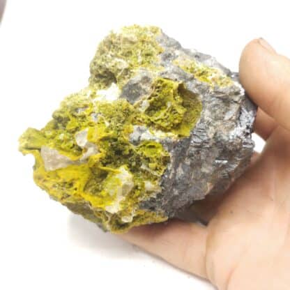 Pyromorphite & Cérusite sur Galène, L’Argentolle, Saône-et-Loire.