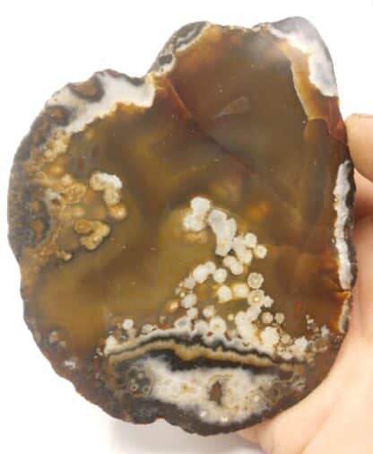 Agate (Quartz), Brésil.