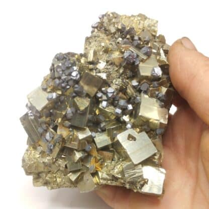 Pyrite, Galène & Chalcopyrite, Pérou.