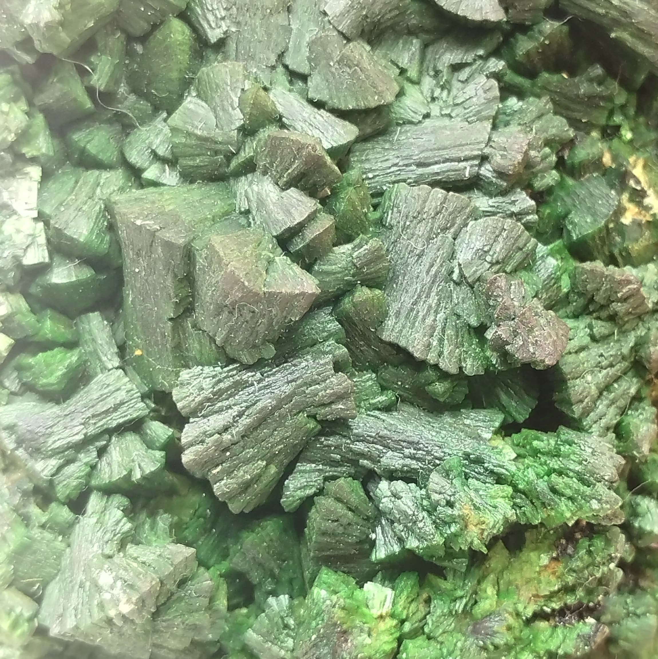 Torbernite, Margabal, Entraygues-sur-Truyère, Aveyron.