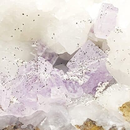 Fluorine violette sur Calcite, Propiac, Drôme.