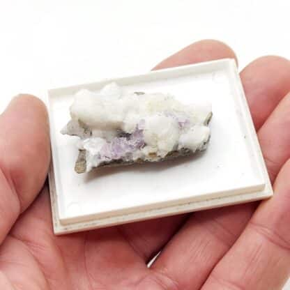 Fluorine violette sur Calcite, Propiac, Drôme.