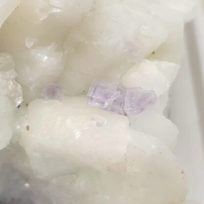 Fluorine violette sur Calcite, Propiac, Drôme.