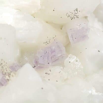 Fluorine violette sur Calcite, Propiac, Drôme.