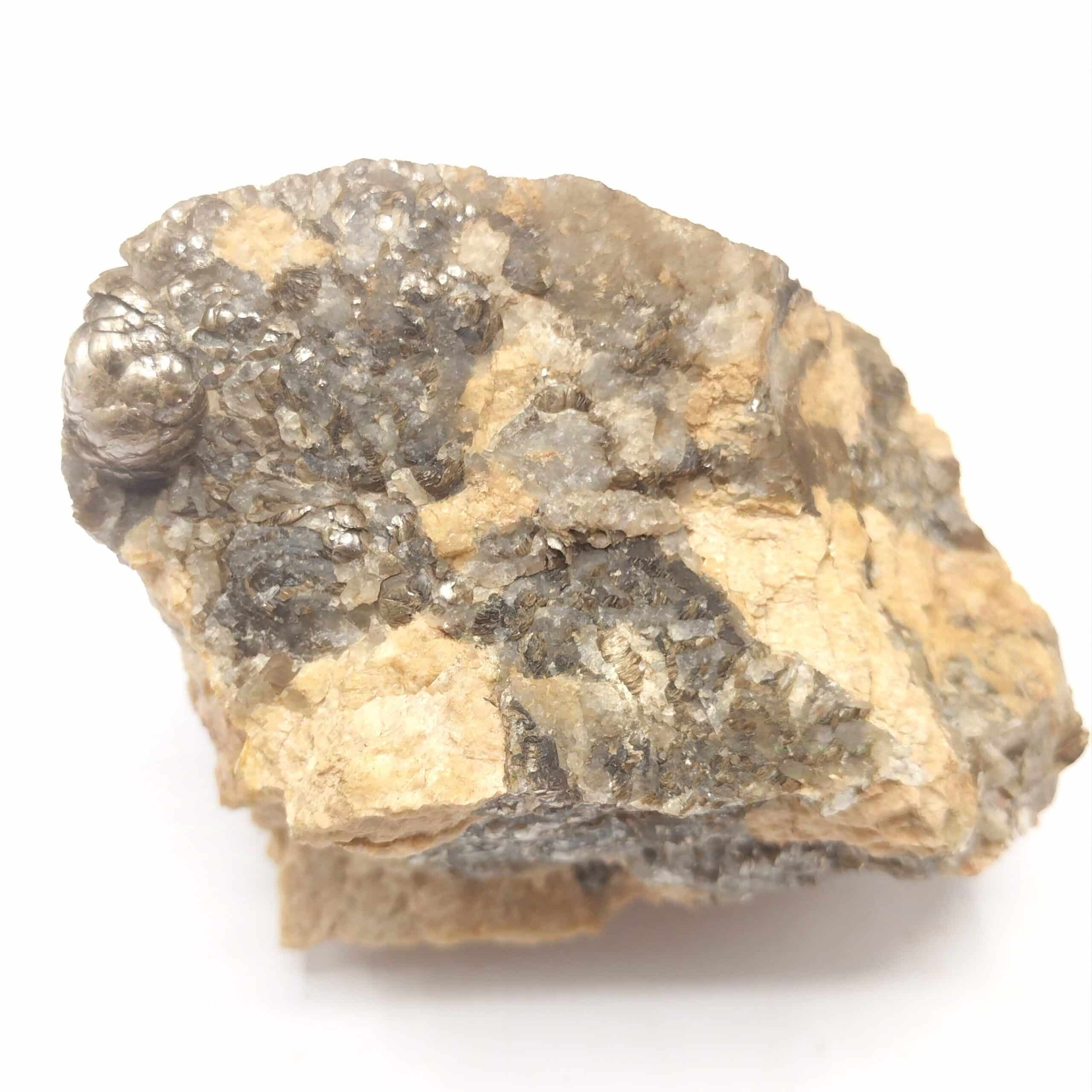 Muscovite testacée, Chabannes, Haute-Vienne, Limousin.