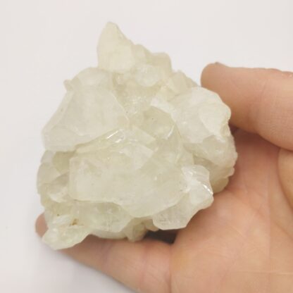 Datolite, Prospect Park, New Jersey, USA (États-Unis).