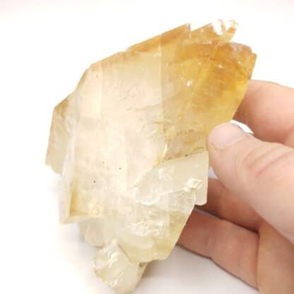 Calcite, Elmwood, Tennessee, USA (États-Unis).