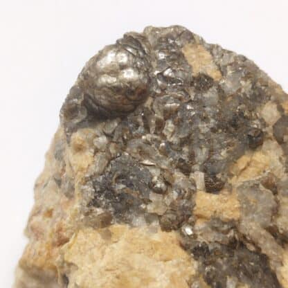 Muscovite testacée, Chabannes, Haute-Vienne, Limousin.