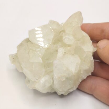 Datolite, Prospect Park, New Jersey, USA (États-Unis).