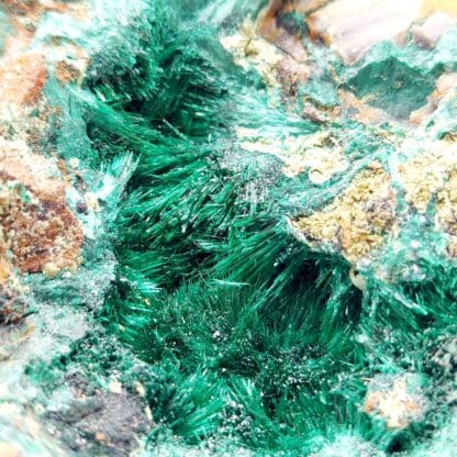 Brochantite, Mine La Verde, province de Copiapó, Atacama, Chili.