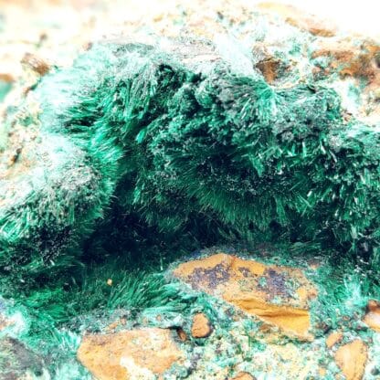 Brochantite, Mine La Verde, province de Copiapó, Atacama, Chili.