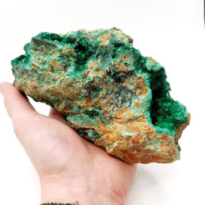 Brochantite, Mine La Verde, province de Copiapó, Atacama, Chili.