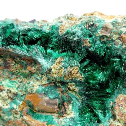 Brochantite, Mine La Verde, province de Copiapó, Atacama, Chili.