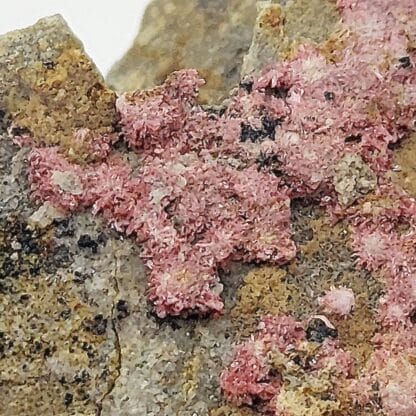 Erythrine, Karibibite, Hétérogénite, Pont de Berthéou, Daluis, Alpes Maritimes.