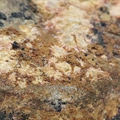 Erythrine, Karibibite, Hétérogénite, Pont de Berthéou, Daluis, Alpes Maritimes.