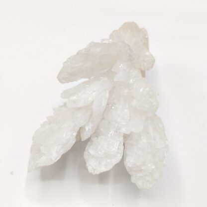 Calcite, Santa Eulalia, Chihuahua, Mexique.