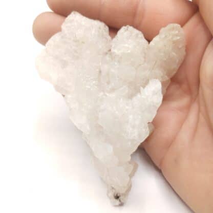 Calcite, Santa Eulalia, Chihuahua, Mexique.