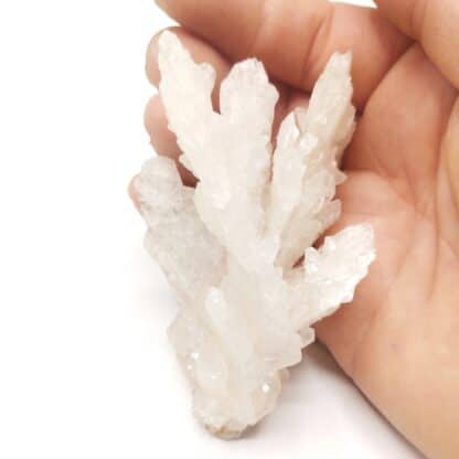 Calcite, Santa Eulalia, Chihuahua, Mexique.