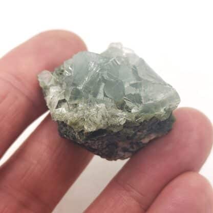 Prehnite Coupholite, La Selle, Saint-Christophe-en-Oisans, Isère.