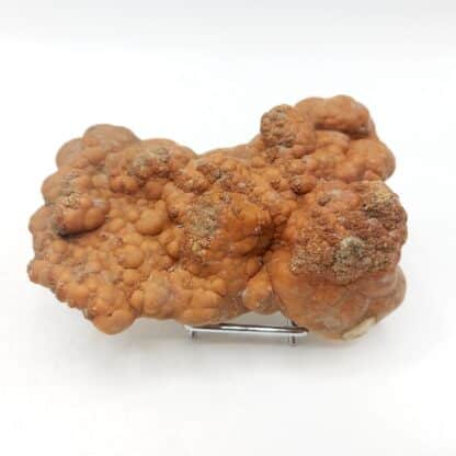 Aragonite concrétionnée, Karlsbad, Allemagne.