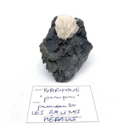 Baryte (Barytine), Panneau 20, mine des Malines, Gard.