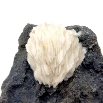 Baryte (Barytine), Panneau 20, mine des Malines, Gard.