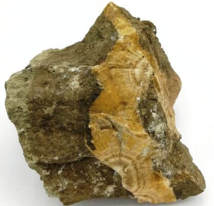 Natrolite, Hohentwiel, Bade-Wurtemberg, Allemagne.