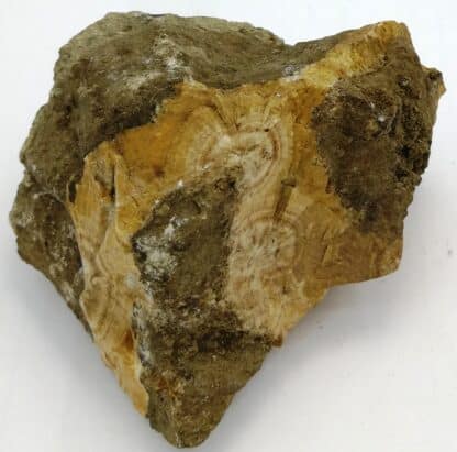 Natrolite, Hohentwiel, Bade-Wurtemberg, Allemagne.