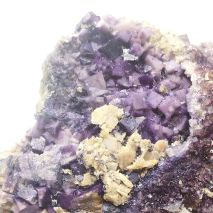 Fluorite, Wolsendorf, Allemagne.