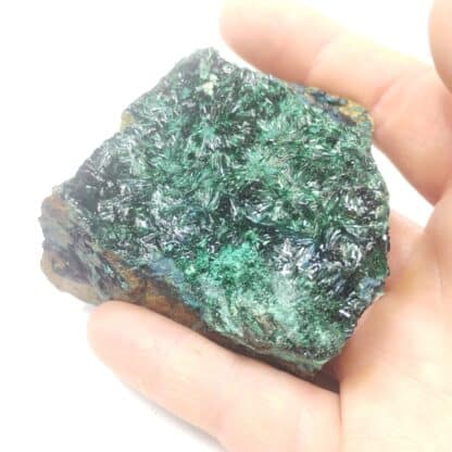 Atacamite, Mine de la Farola, Atacama, Chili.