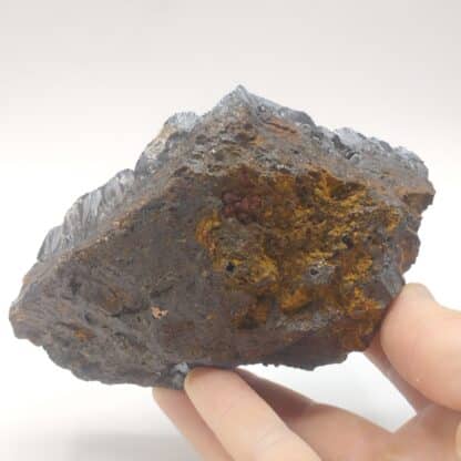 Goethite, Dunet, Indre.