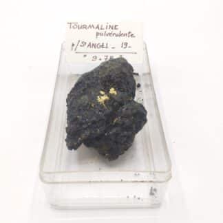 Tourmaline (Schorl), Saint-Angel, Corrèze, Limousin.