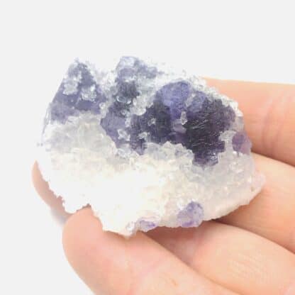 Fluorite (Fluorine) & Quartz, Mine de Fontsante, Var.