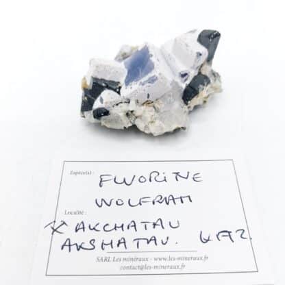 Fluorite, Wolfram, Mine d'Akchatau, région de Karaganda, Kazakhstan.