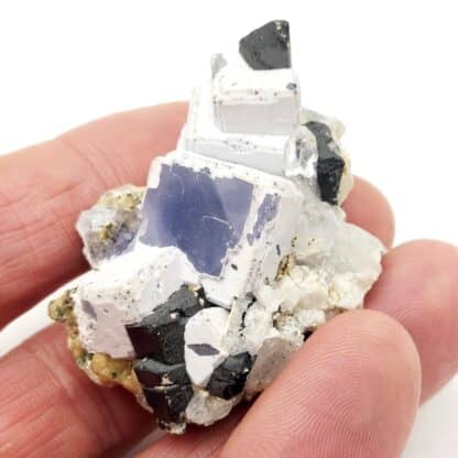 Fluorite, Wolfram, Mine d'Akchatau, région de Karaganda, Kazakhstan.