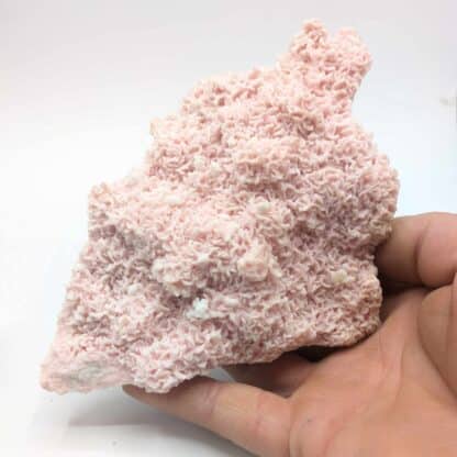 Rhodochrosite, Cavnic, Roumanie.