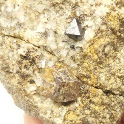 Magnétite & Anatase, Lercheltini (Lärchultini), Binntal, Valais, Suisse.