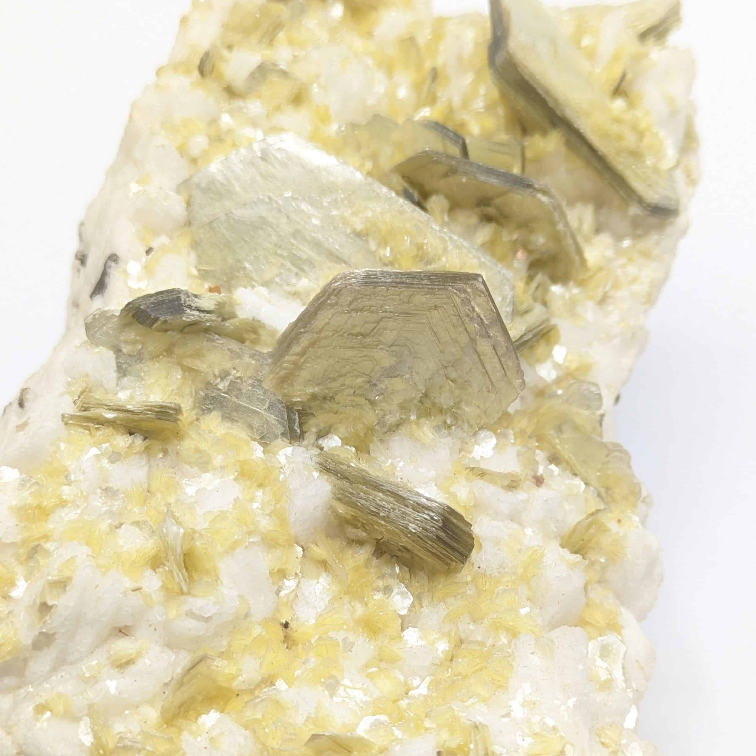 Muscovite (mica) sur Albite, Minas Gerais, Brésil.