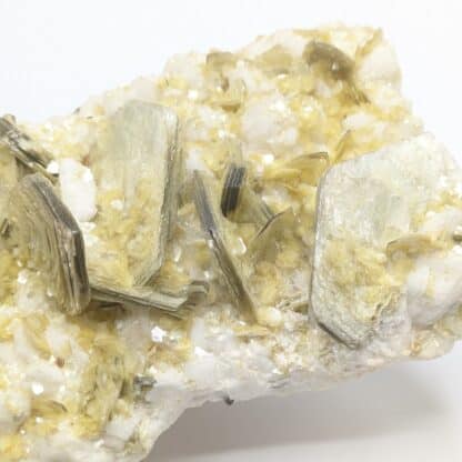 Muscovite (mica) sur Albite, Minas Gerais, Brésil.