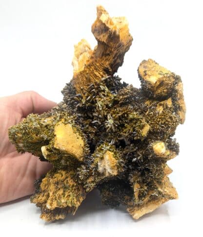 Pyromorphite, Mine des Farges, Ussel, Corrèze, Limousin.