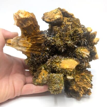 Pyromorphite, Mine des Farges, Ussel, Corrèze, Limousin.