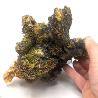 Pyromorphite, Mine des Farges, Ussel, Corrèze, Limousin.