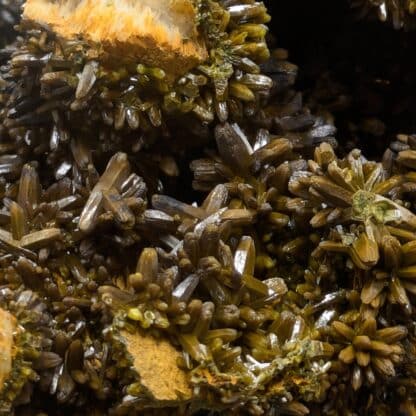 Pyromorphite, Mine des Farges, Ussel, Corrèze, Limousin.