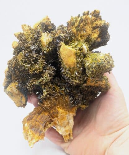 Pyromorphite, Mine des Farges, Ussel, Corrèze, Limousin.