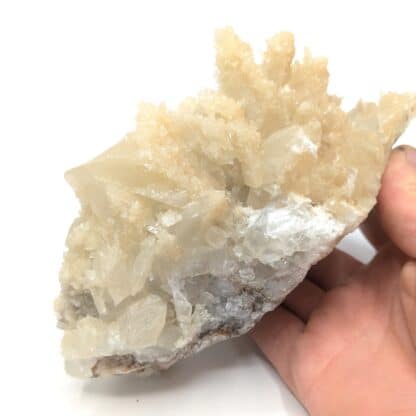 Calcite, Cuzac, Lot.